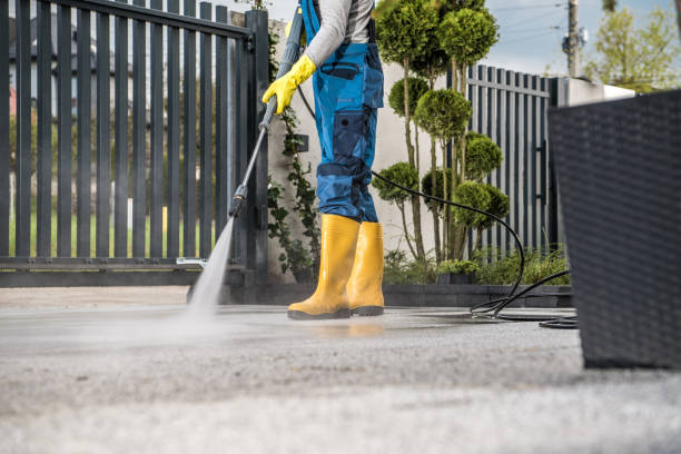 Best Soft Washing  in Polkton, NC